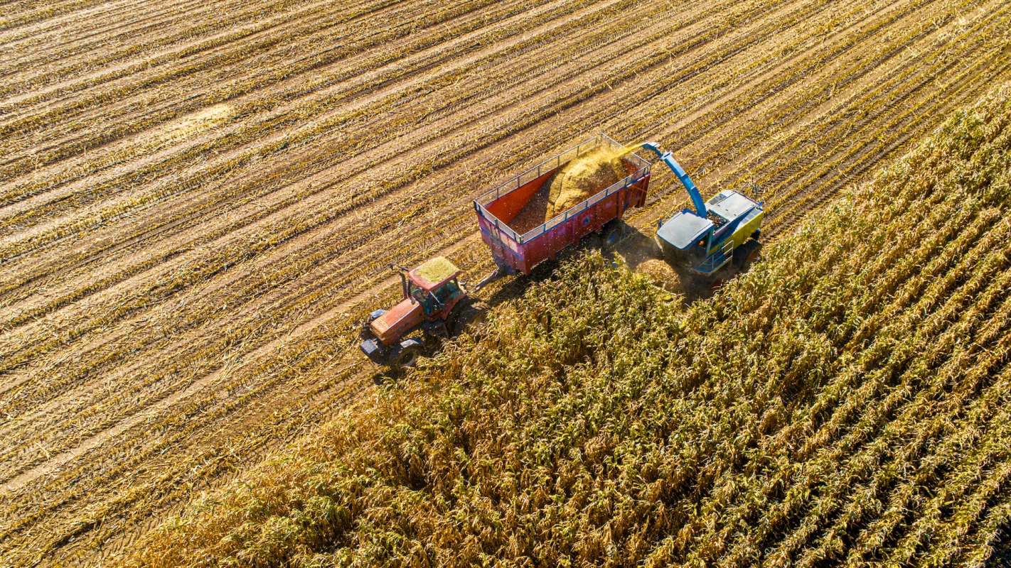 Aerial view of a tractor and harvesting machine collecting corn in a vast agricultural field.