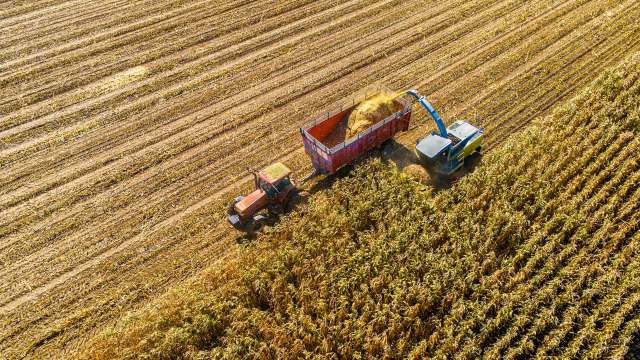 Aerial view of a tractor and harvesting machine collecting corn in a vast agricultural field.