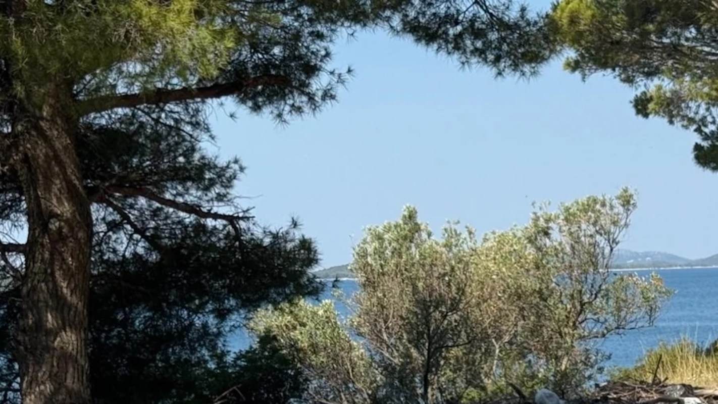 A view through trees overlooking a calm blue sea with distant islands in the background under a clear sky.