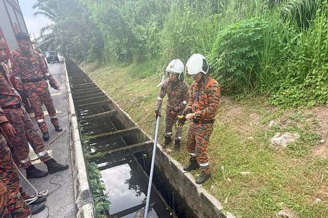 Two firefighters in camouflage uniforms examine a drainage ditch, using a long pole to investigate the water.