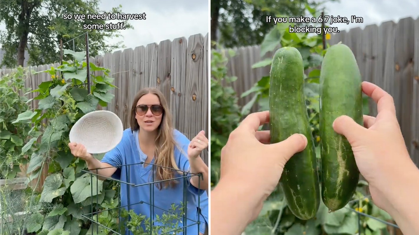 A woman in sunglasses holds a plate in a garden, with cucumbers in close-up and humorous text overlay.