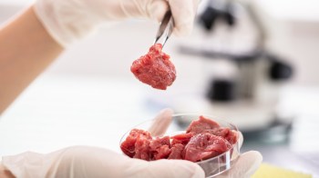 A gloved hand holds a piece of raw meat above a container of similar cuts, with a microscope in the background.
