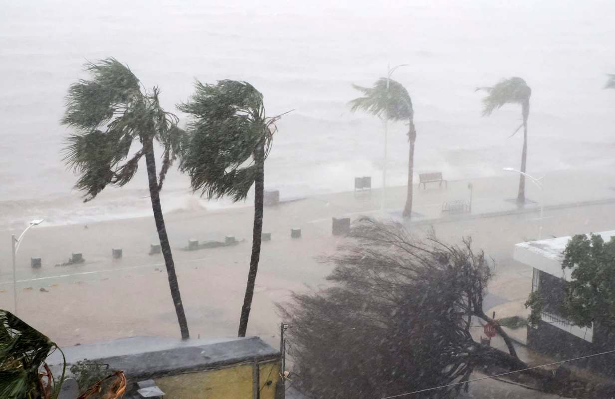 Strong winds sway palm trees near a flooded shoreline during a severe storm.