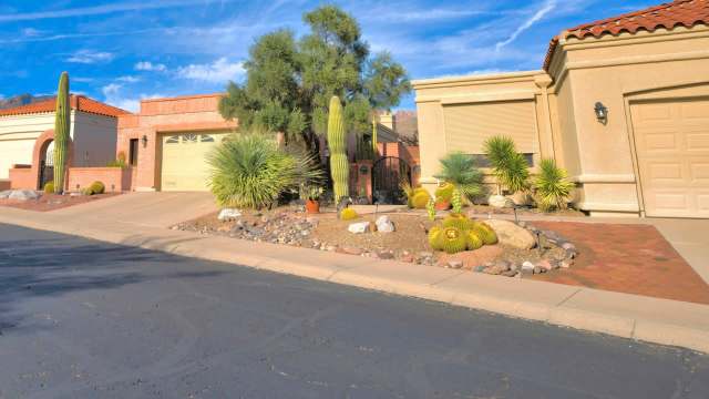 A desert landscape featuring a home with a cactus garden, stone landscaping, and a clear blue sky.