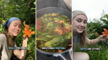 A person enjoys edible flowers in a garden, while showing cooking vegetables in a pan.