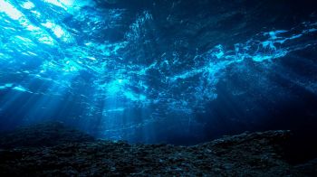 Underwater scene with rays of sunlight filtering through and illuminating the rocky seabed.