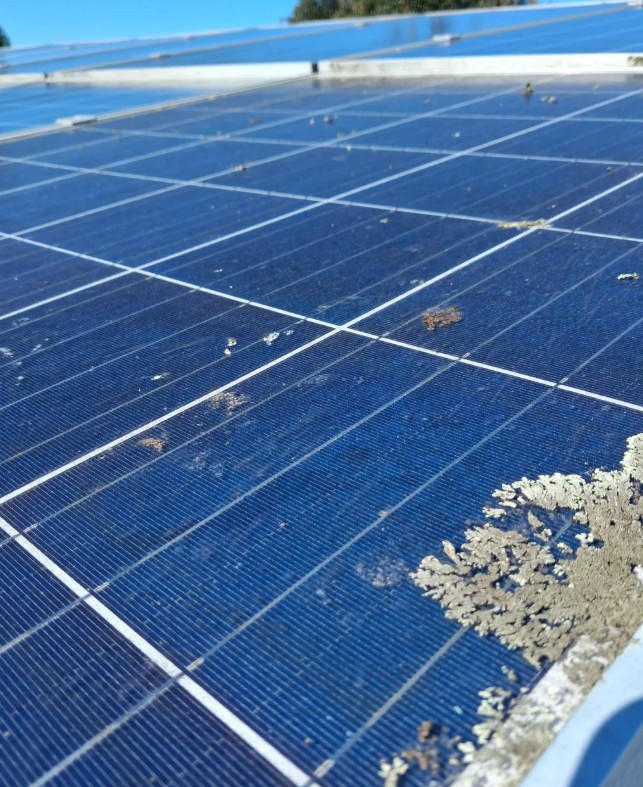 Solar panels covered in dirt and debris.