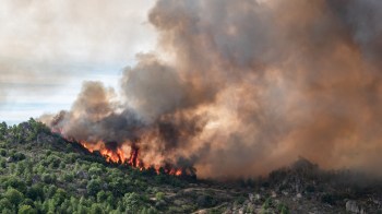 A large wildfire burns on a hillside, billowing thick smoke and flames into the air.