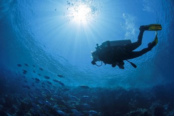 A diver exploring underwater.