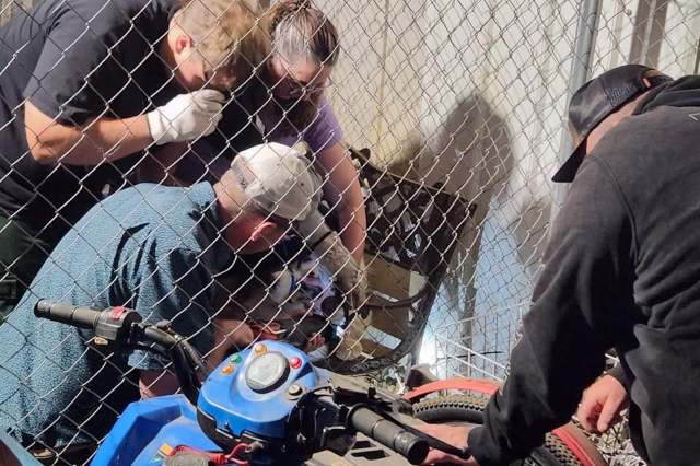 A group of four people working together on a project behind a chain-link fence, focused on an object near a blue vehicle.