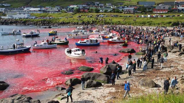 A crowd gathers on a beach as boats stir red water, creating a striking scene.