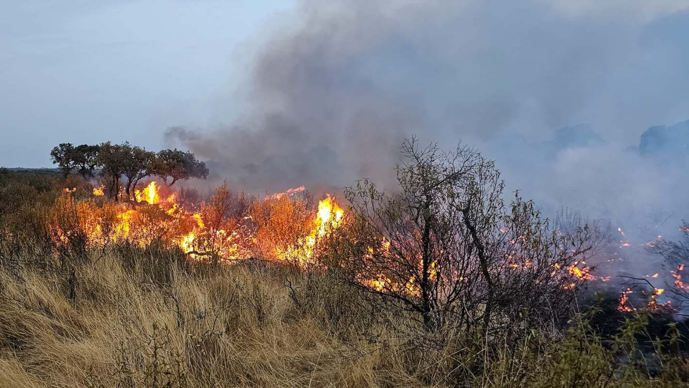 A wildfire burning through dry brush and grass.