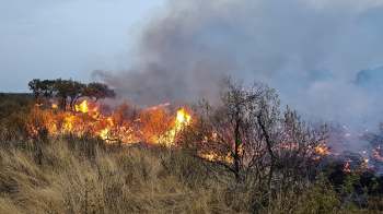 A wildfire burning through dry brush and grass.