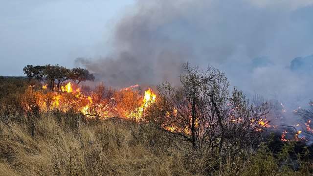 A wildfire burning through dry brush and grass.