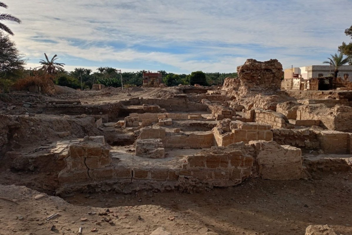 Archaeological excavation site.