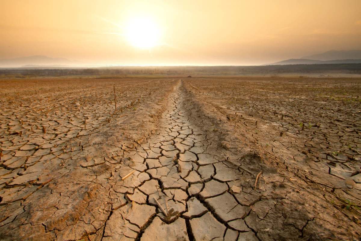 A cracked, barren landscape under a golden sunset, with a path leading through the dry earth.