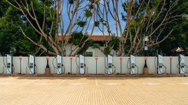 A row of electric vehicle charging stations under a canopy of trees in a paved area.