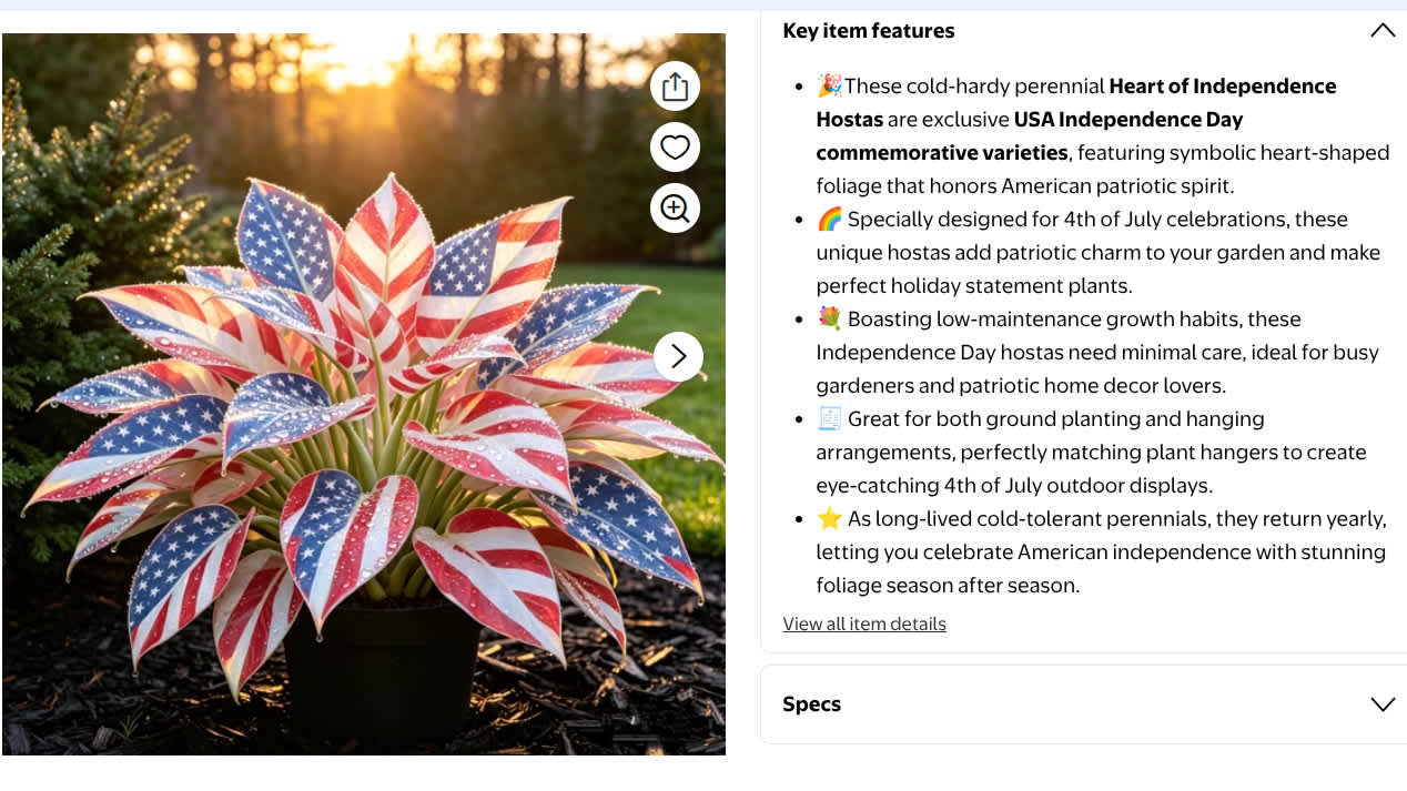 A spec description from Walmart for a hosta patterned like an American flag.