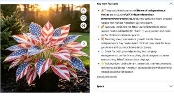 A spec description from Walmart for a hosta patterned like an American flag.