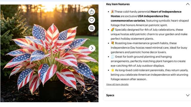 A spec description from Walmart for a hosta patterned like an American flag.