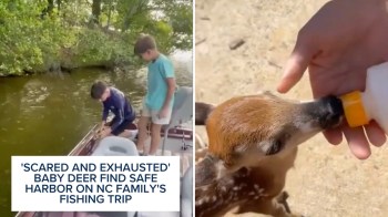 Two boys on a boat with trees in the background; one boy holds a baby deer drinking from a bottle.