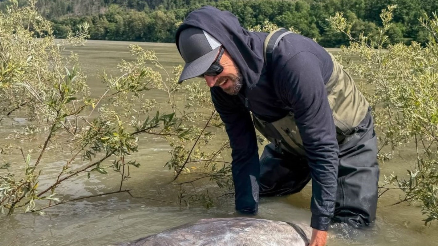 A man in a black hoodie and sunglasses kneels near the water, interacting with a large fish surrounded by greenery.
