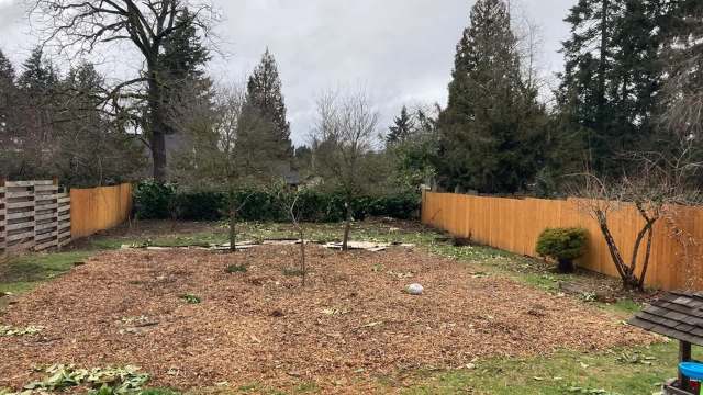 A vacant backyard.