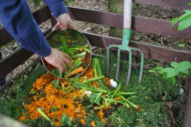 A person is adding vegetable scraps to a garden.