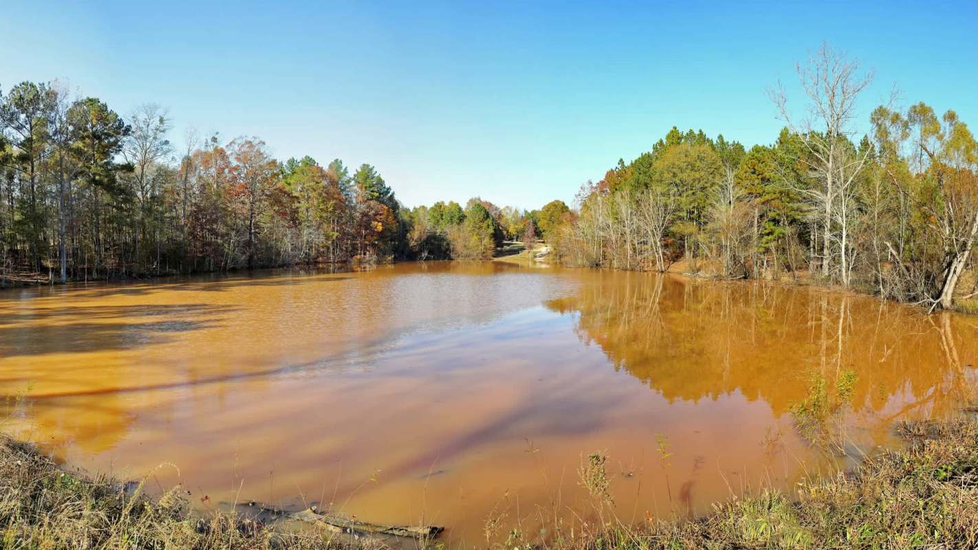 A tranquil brown pond surrounded by trees, reflecting autumn colors and a clear blue sky.