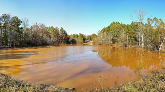 A tranquil brown pond surrounded by trees, reflecting autumn colors and a clear blue sky.