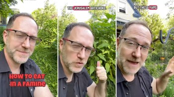 A man in a garden discusses edible plants, featuring text about Jerusalem artichokes and yams.