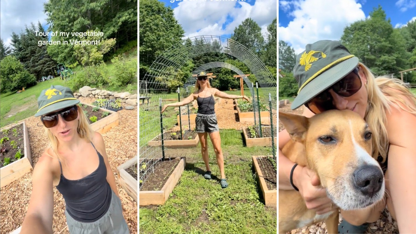 A person stands in a vegetable garden with raised beds, wearing a cap, and holding a dog in a sunny outdoor setting.