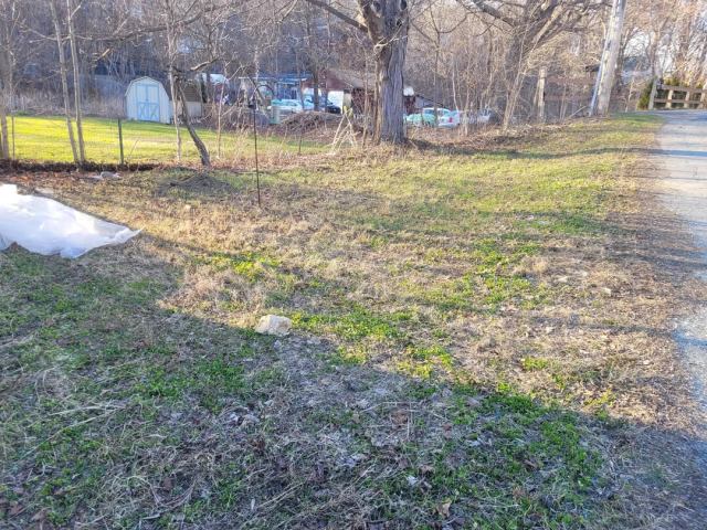 A grassy area beside a gravel road, with a shed and trees in the background, showing signs of early spring.
