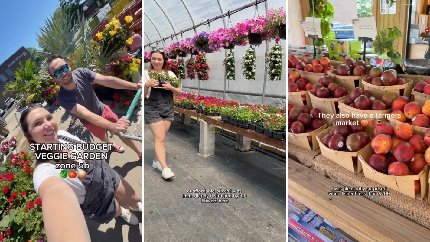 A couple enjoys a day at a garden center, selecting plants and fruits for a budget veggie garden.