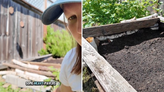 A person in a hat takes a selfie near a garden bed made from logs filled with soil and surrounded by greenery.