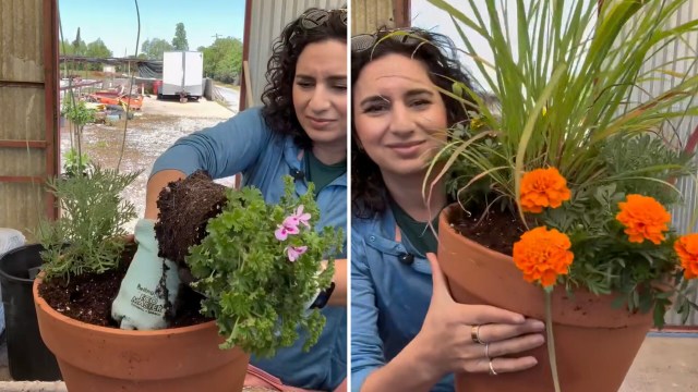 A woman is potting flowers and holding a newly planted terracotta pot with vibrant orange marigolds and greenery.