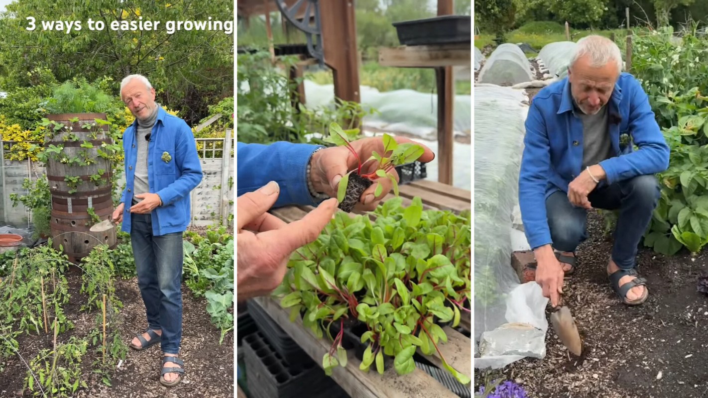 A gardener showing how to easily plant food.