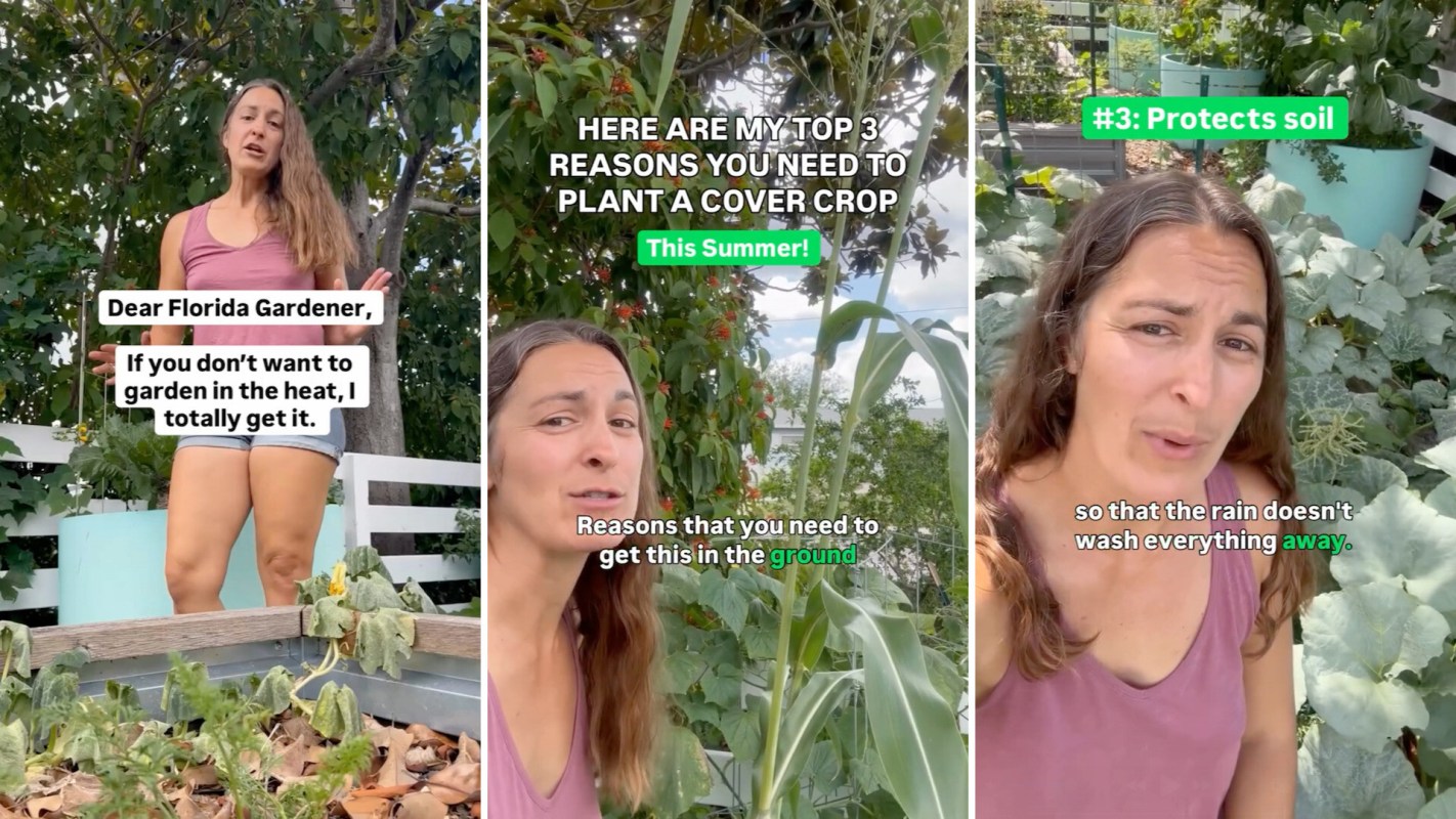 A woman shares gardening tips in a lush garden, emphasizing the benefits of planting cover crops this summer.