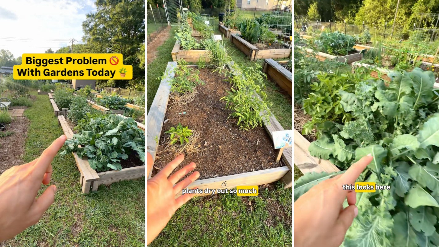 A person pointing out issues in a vegetable garden with raised beds.