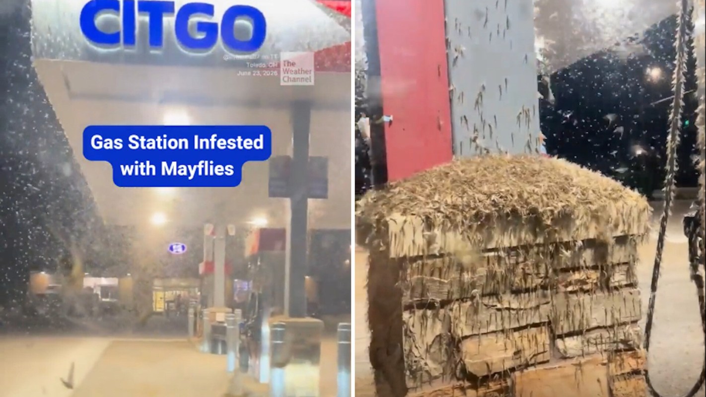 A gas station covered in mayflies, creating a dense swarm around the pumps and surrounding area.