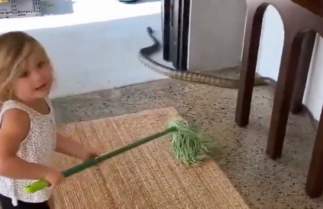 A young girl holds a green cleaning tool while a snake slithers near her in a living space to the outside.
