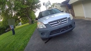 A goat stands on the roof of a silver SUV.