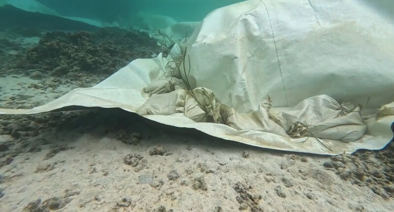 Underwater white tarp covering the corals.