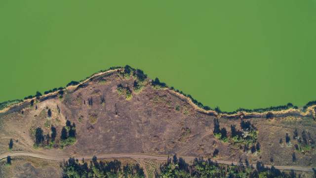 An aerial view of a lake filled with green algal blooms beside a barren, partially vegetated shoreline and a dirt path.