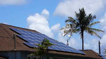 A rooftop equipped with solar panels and a small wind turbine, surrounded by palm trees and blue sky.