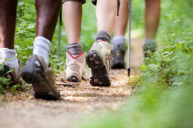 A group of hikers walking along a dirt path.