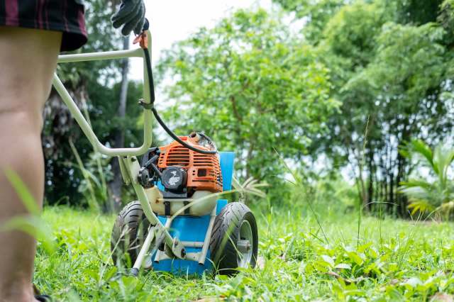 A person prepares to use a gas-powered tiller in a lush, green garden surrounded by trees.
