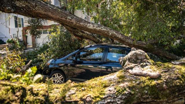A black car partially obscured by a fallen tree and branches in a residential area.