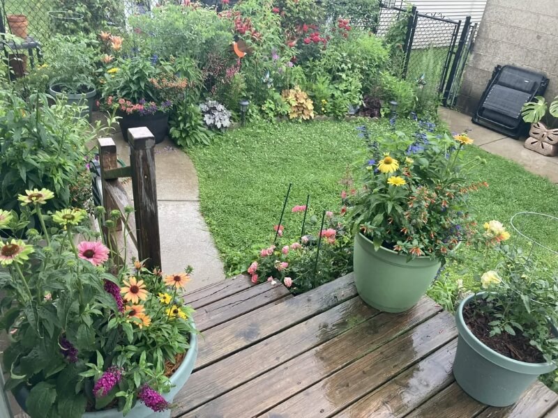 A garden with colorful flowers. 