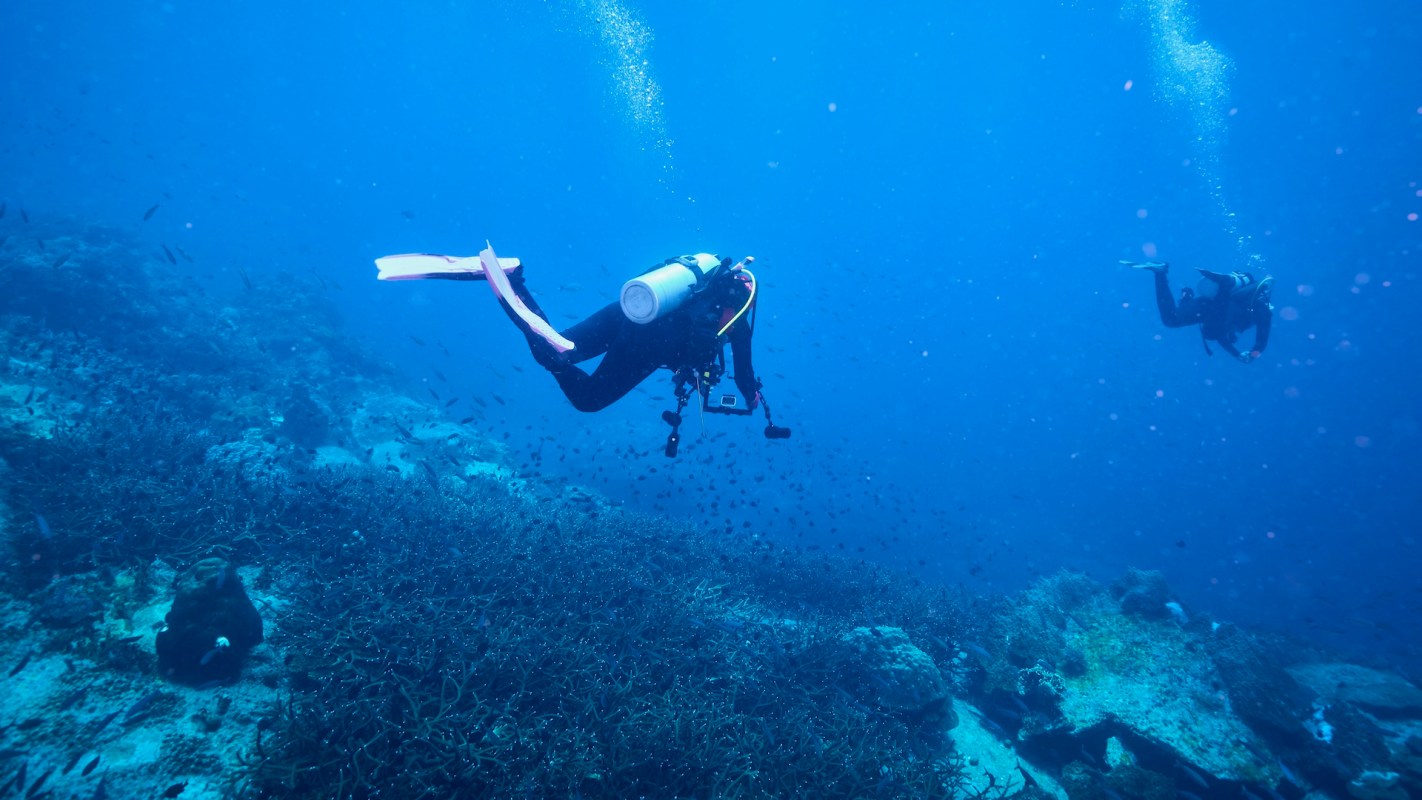 A diver exploring a vibrant underwater scene with coral and various fish.